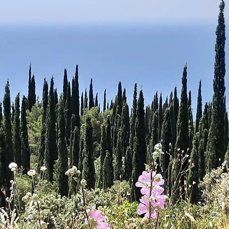 Dom wakacyjny House Kocan Gruda