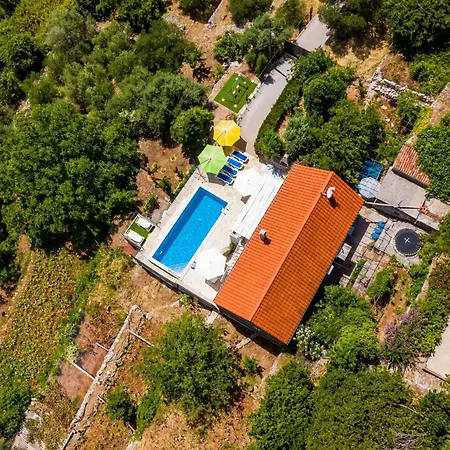 House Kocan