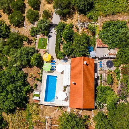 House Kocan *