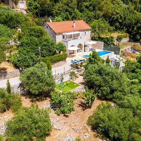 House Kocan