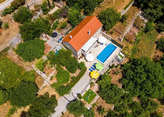 House Kocan